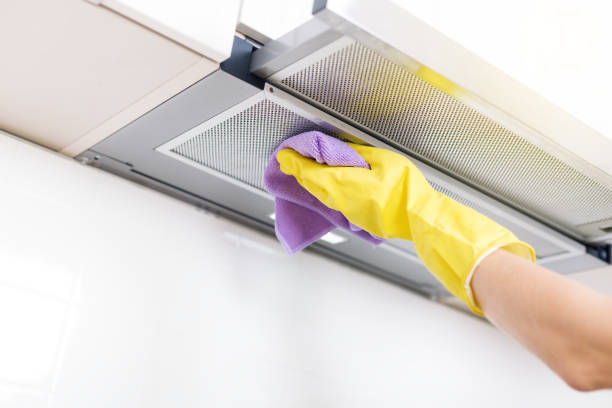 Air Duct Mold Removal in Fulton, TX